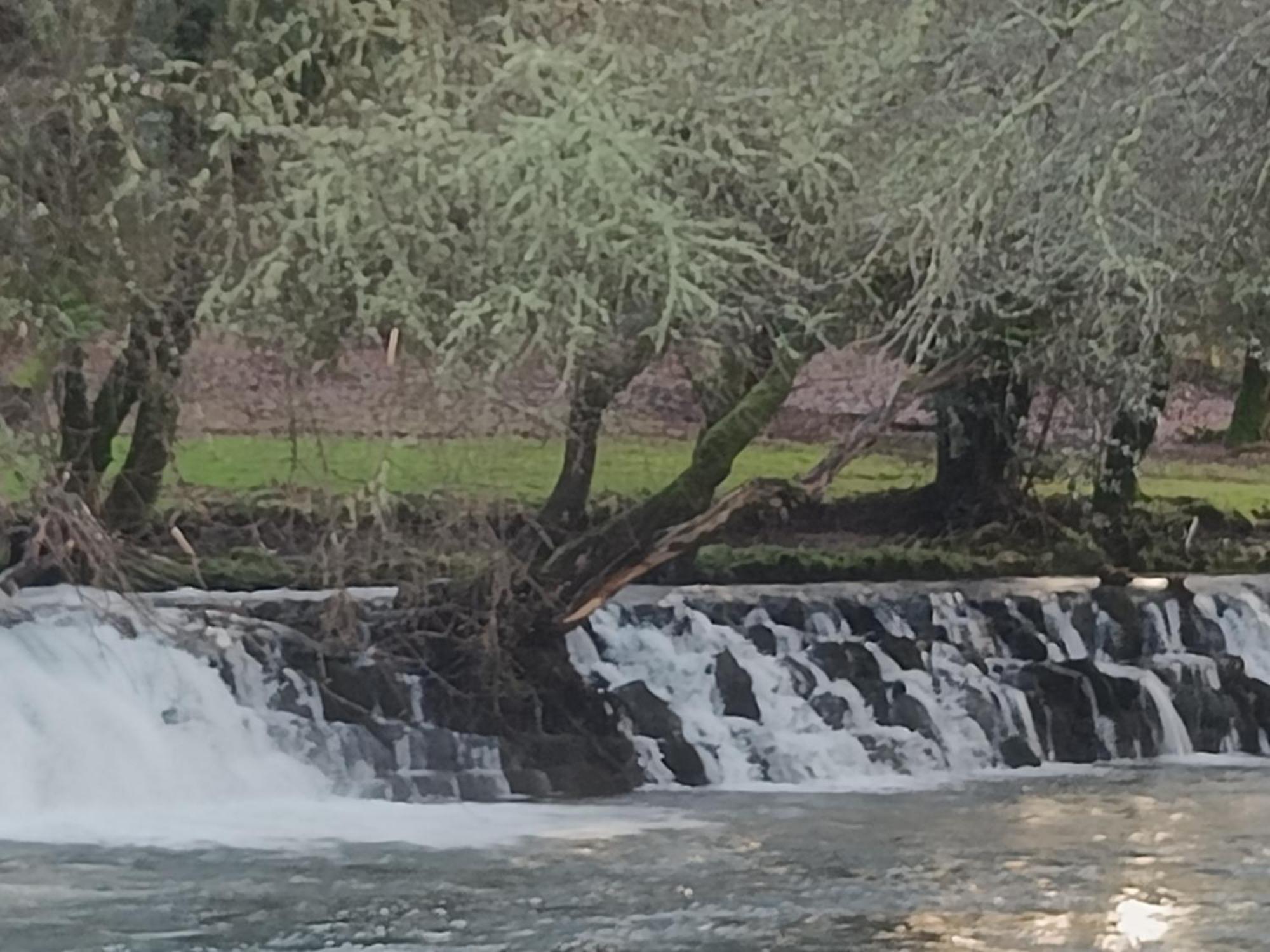 4 Soles Daire Ponte Caldelas Dış mekan fotoğraf