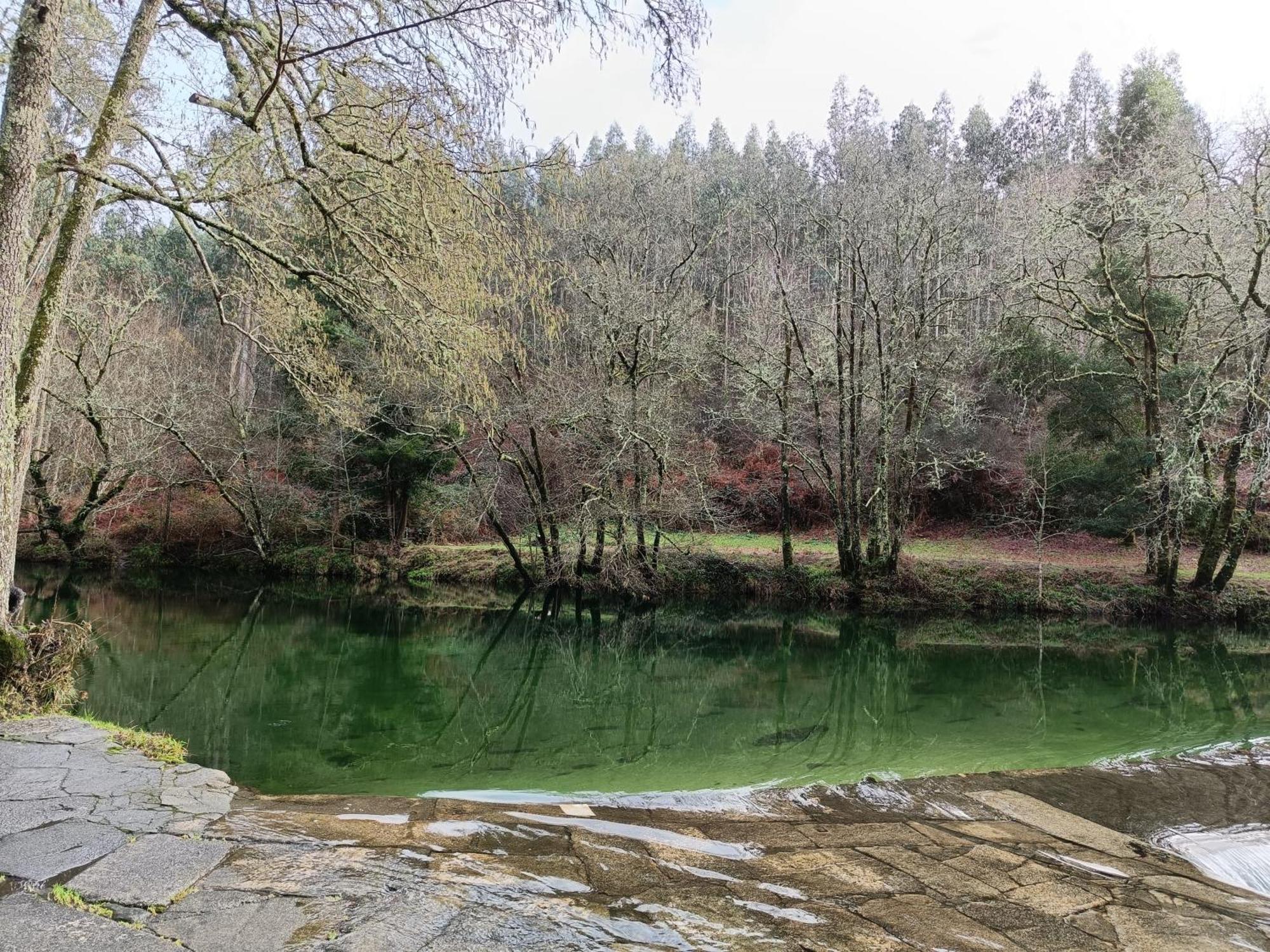 4 Soles Daire Ponte Caldelas Dış mekan fotoğraf